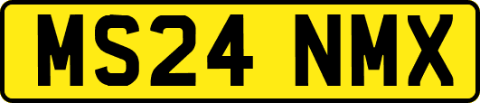 MS24NMX