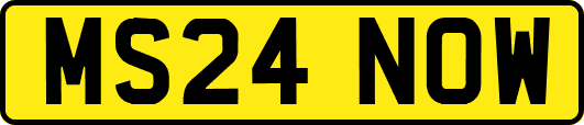 MS24NOW