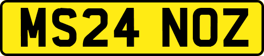 MS24NOZ