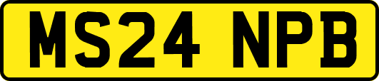 MS24NPB