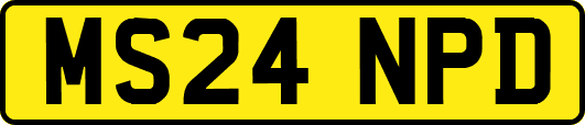 MS24NPD