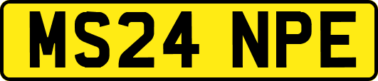 MS24NPE