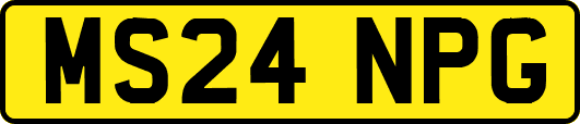 MS24NPG