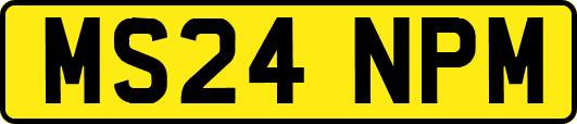 MS24NPM