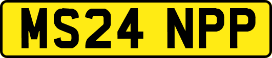 MS24NPP