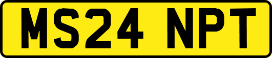 MS24NPT
