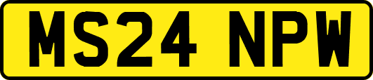 MS24NPW