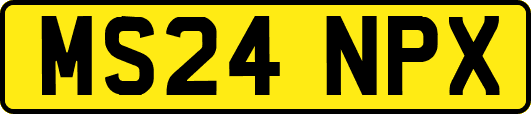 MS24NPX