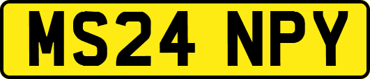MS24NPY