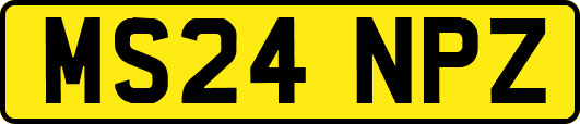 MS24NPZ
