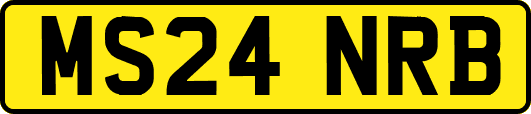 MS24NRB