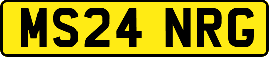 MS24NRG