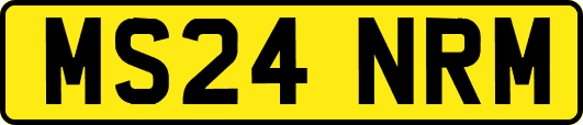 MS24NRM