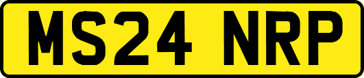 MS24NRP