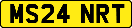 MS24NRT