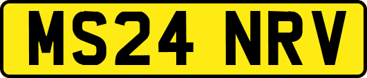 MS24NRV