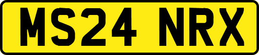 MS24NRX