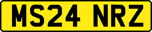 MS24NRZ