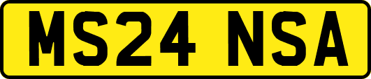 MS24NSA