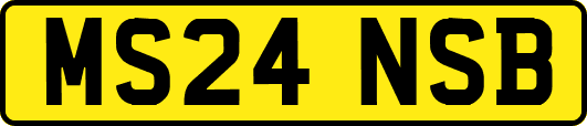MS24NSB