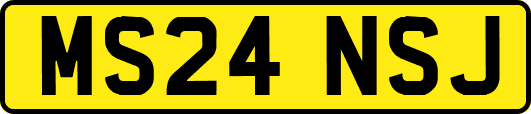 MS24NSJ