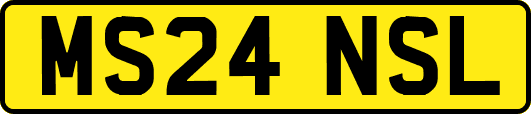 MS24NSL