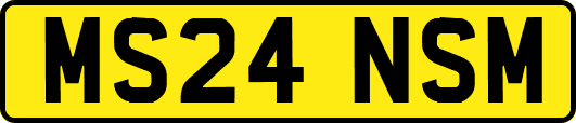 MS24NSM