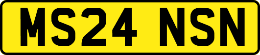 MS24NSN