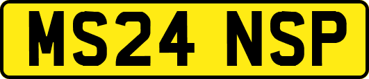 MS24NSP