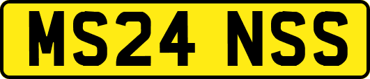 MS24NSS