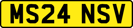 MS24NSV