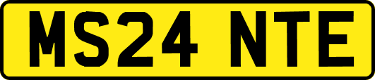 MS24NTE