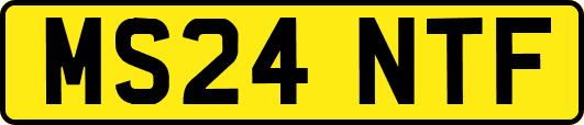 MS24NTF