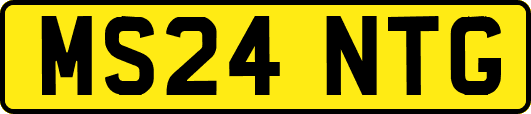 MS24NTG
