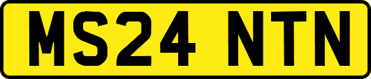 MS24NTN