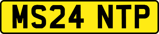 MS24NTP