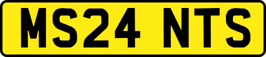 MS24NTS