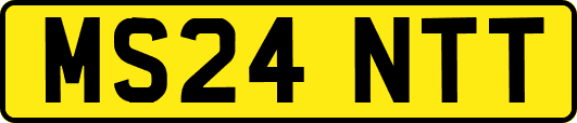 MS24NTT