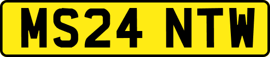 MS24NTW