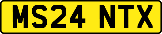 MS24NTX