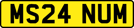 MS24NUM
