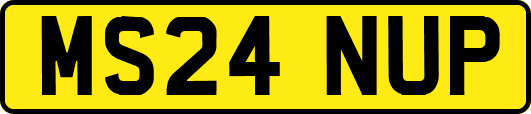 MS24NUP