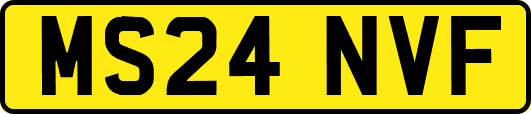 MS24NVF