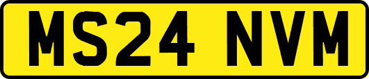 MS24NVM