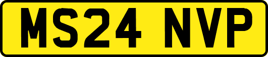 MS24NVP