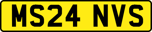 MS24NVS