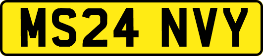 MS24NVY