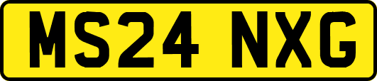 MS24NXG