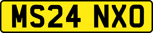 MS24NXO