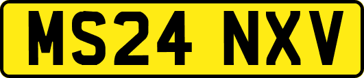 MS24NXV